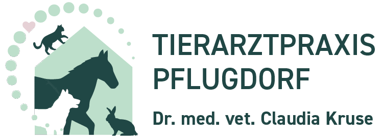 Tierarzt Praxis Pflugdorf